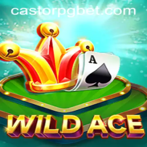 Explorando o Fascinante Mundo de WildAce: O Jogo Inovador com Castor-PG